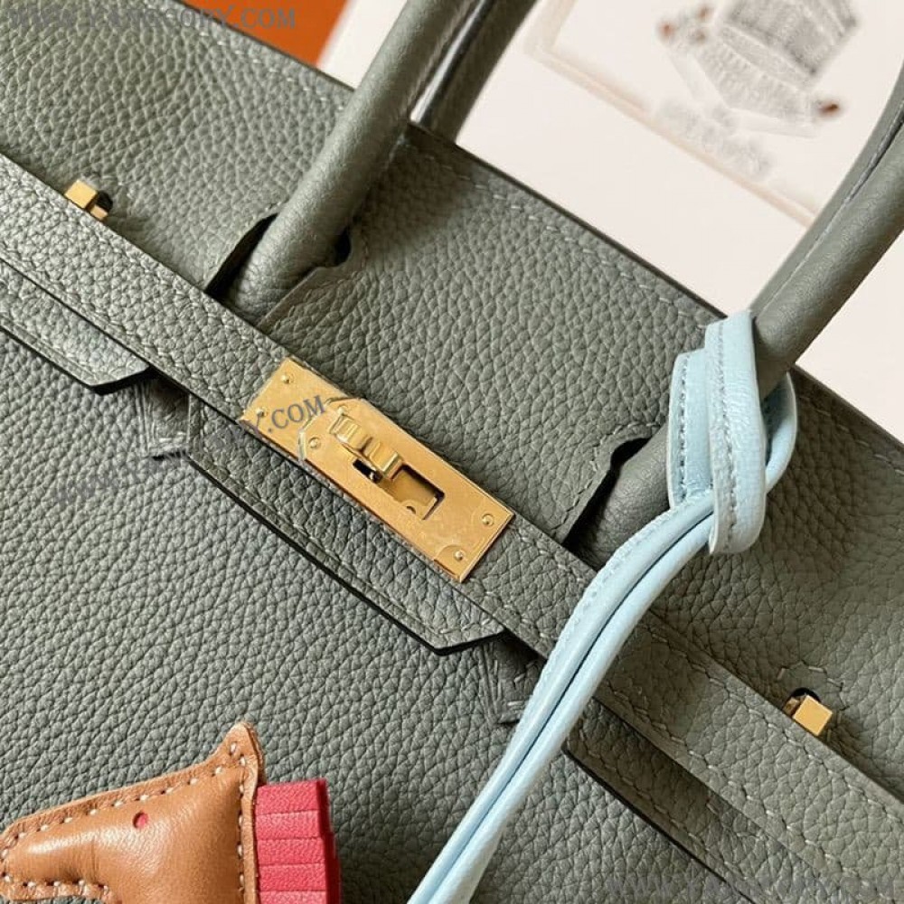 エルメス スーパーコピー バーキン25 トゴ ゴールド金具 erq19287