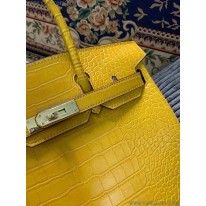 エルメス コピー バーキン30 ポロサス クロコダイル ニロティカス ero59308