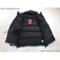 シュプリーム x ザノースフェイス 偽物 自由の女神 マウンテン ジャケット Noe30797